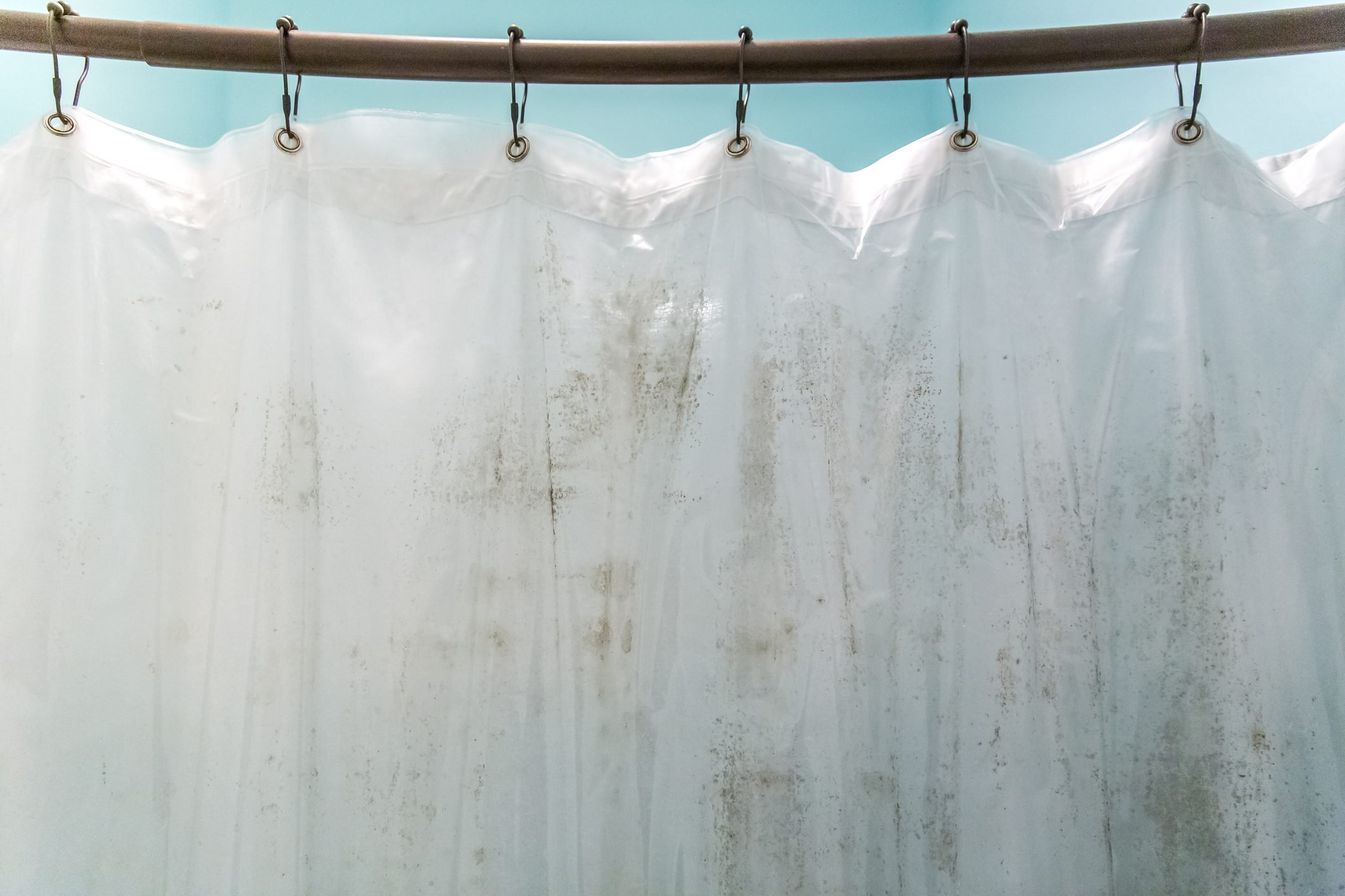 Clean Shower Curtain Liner