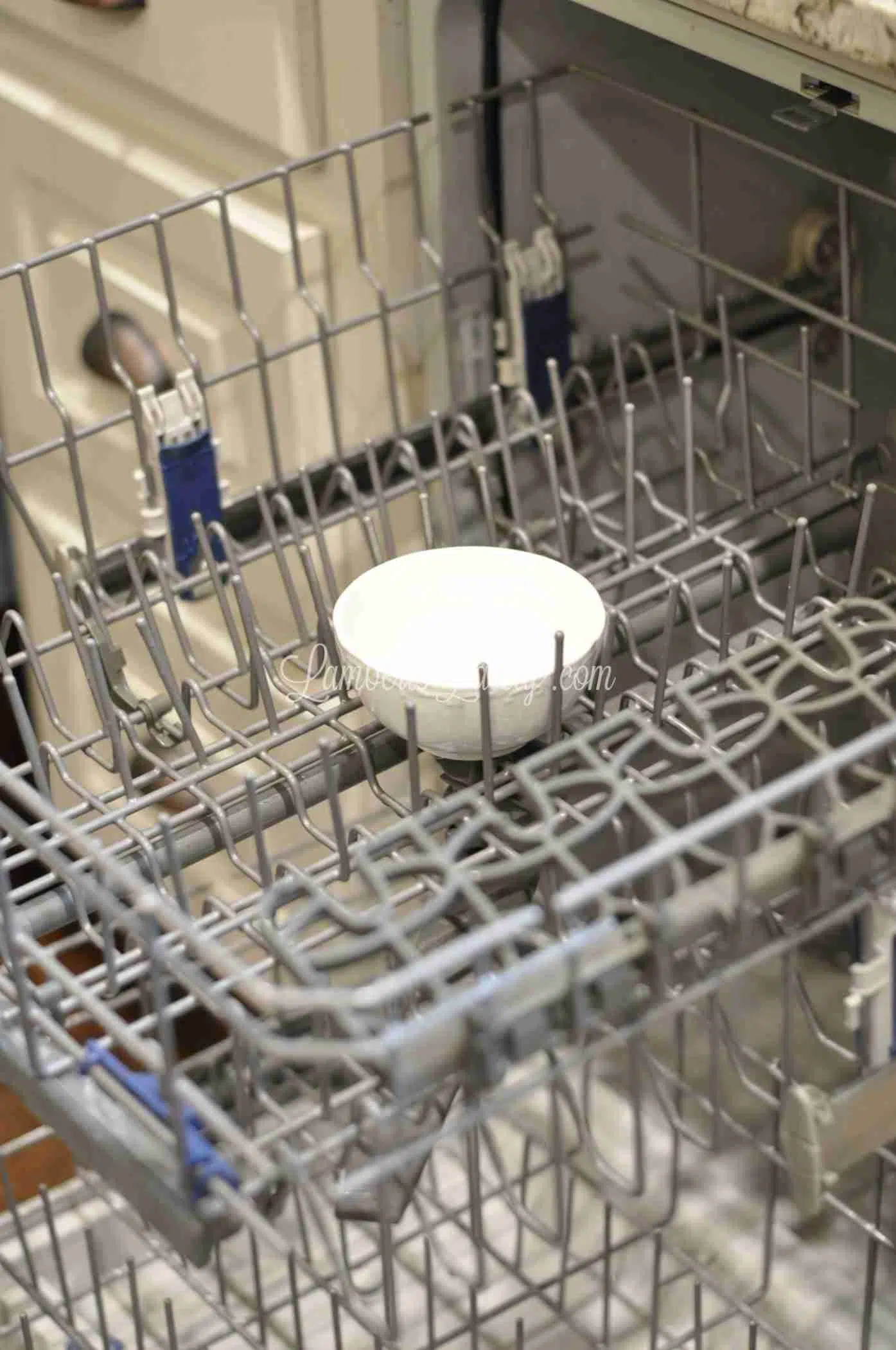 Clean Dishwasher With Vinegar