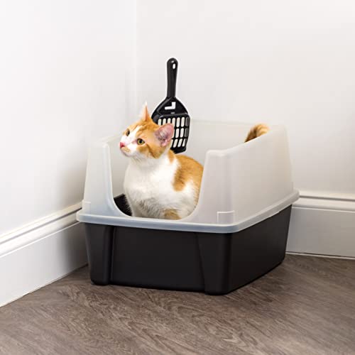 Best Cat Litter Box With Cover