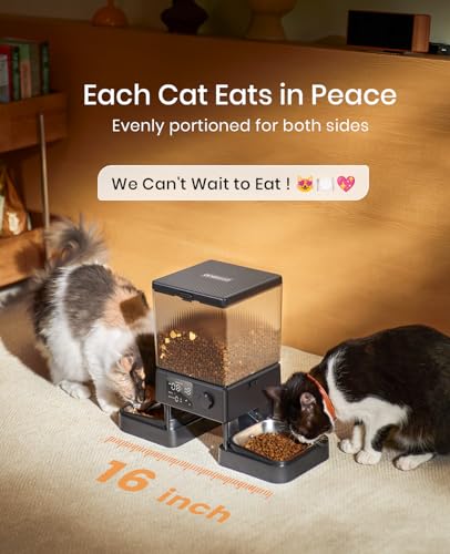 Is An Automatic Pet Feeder Worth It