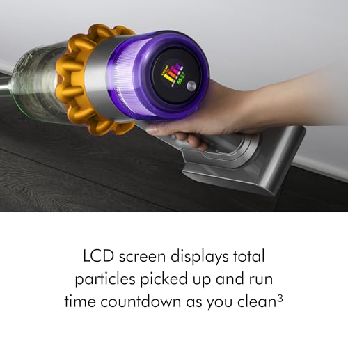 Dyson V11 Vs V15