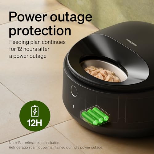 Best Automatic Cat Feeder 2026