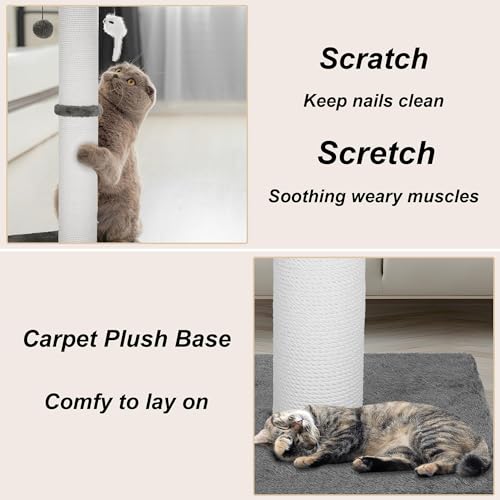 Best Cat Scratching Post