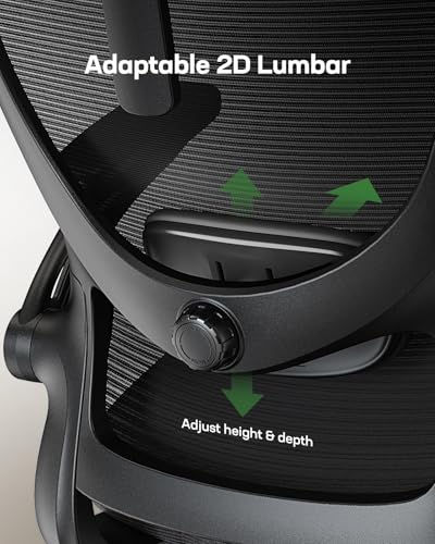 Best Ergonomic Office Chair Under 300