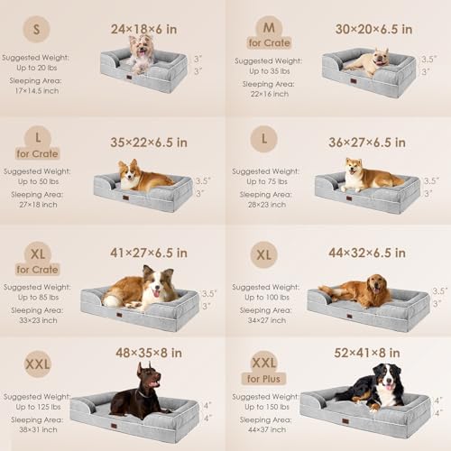 Best Orthopedic Dog Bed