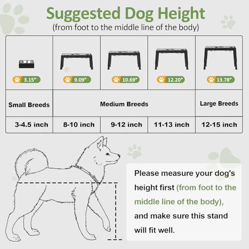 Best Dog Food Bowl Elevated
