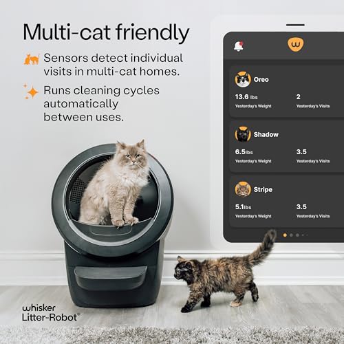 Litter-Robot 4 Review