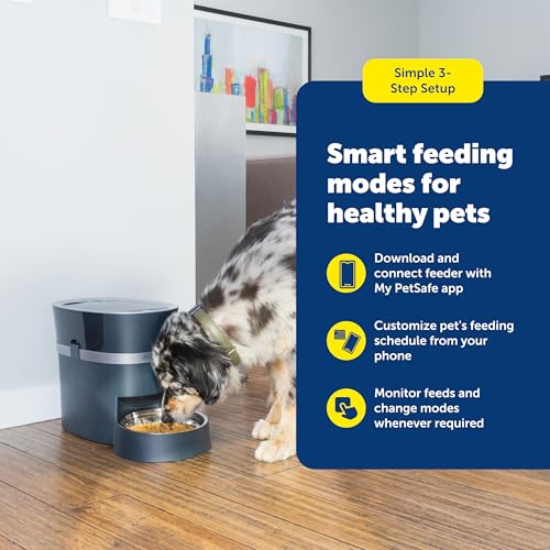 PetSafe Smart Feed Review