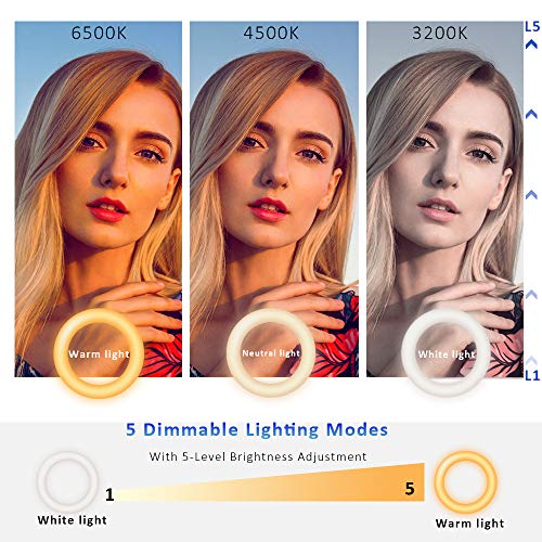Best Ring Light For Video Calls