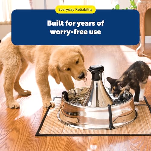 Drinkwell Pet Fountain Review
