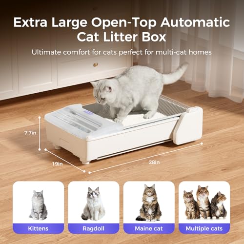 Best Self-Cleaning Litter Box 2026