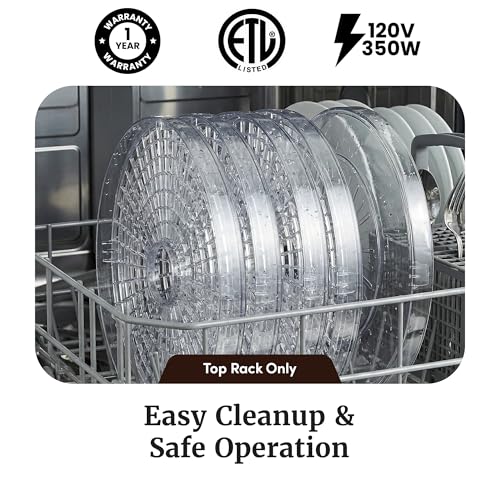Best Food Dehydrator For Beginners